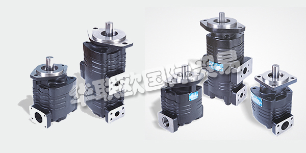 印度VELJAN主要產品：VELJAN齒輪泵、液壓閥等。VELJAN HYDRAIR LIMITED成立于1965年，是印度FLUID POWER公司的先驅，也是其獨立的領導者。